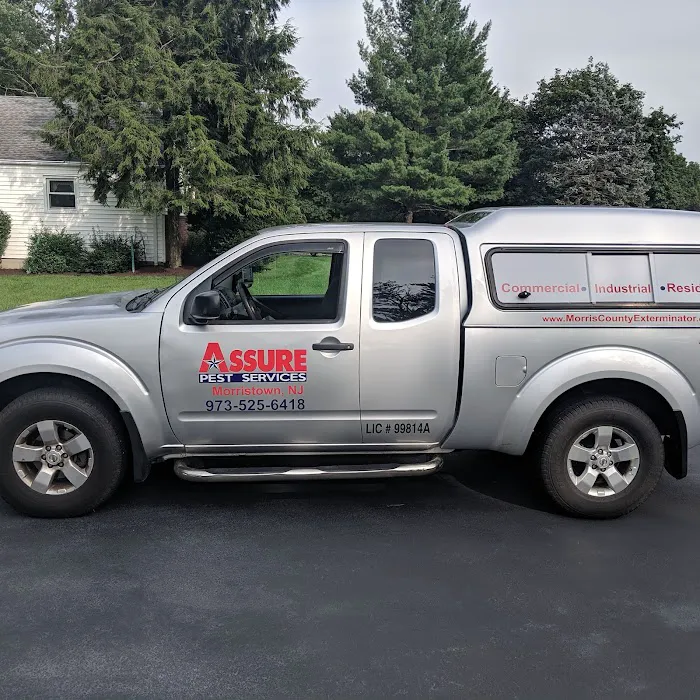 Assure Pest Services Picture 4