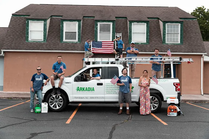 Arkadia Pest Control-A Division of Viking Pest Picture 1