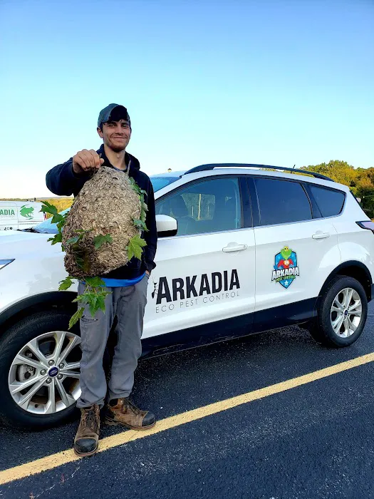 Arkadia Pest Control-A Division of Viking Pest Picture 4