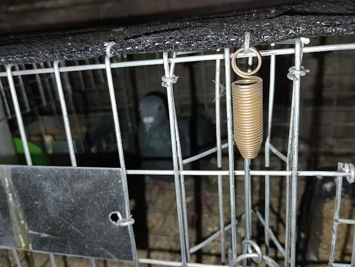 Monster Trapping Picture 7