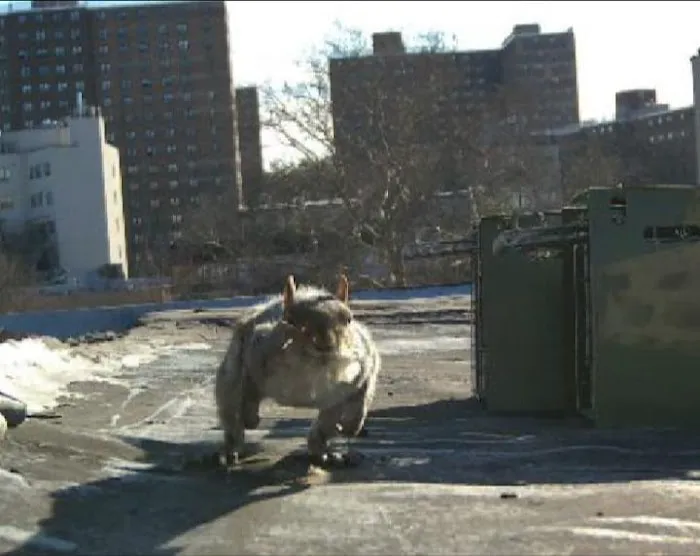 Monster Trapping Picture 8