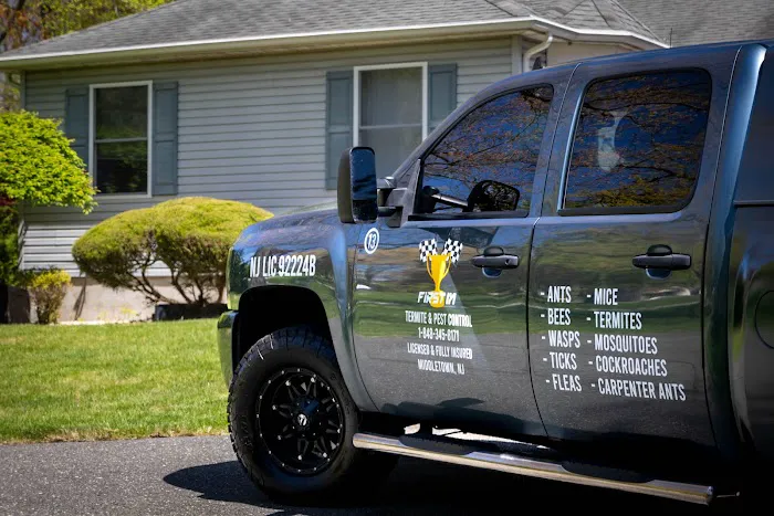 First In Termite And Pest Control Picture 5