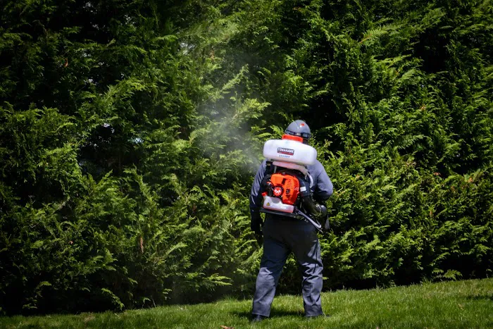 First In Termite And Pest Control Picture 6