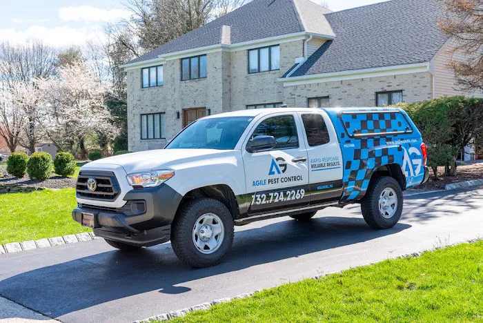Agile Pest Control | Yellow Jacket Nest Removal, Rodents, Termites & Wildlife | Monmouth County NJ Picture 4