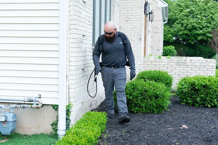 Agile Pest Control | Yellow Jacket Nest Removal, Rodents, Termites & Wildlife | Monmouth County NJ Picture 5