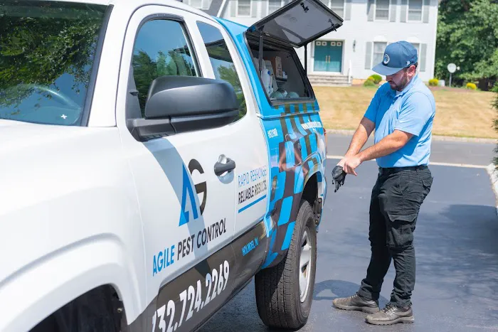 Agile Pest Control | Yellow Jacket Nest Removal, Rodents, Termites & Wildlife | Monmouth County NJ Picture 2