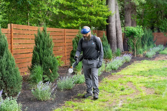 Agile Pest Control | Yellow Jacket Nest Removal, Rodents, Termites & Wildlife | Monmouth County NJ Picture 3