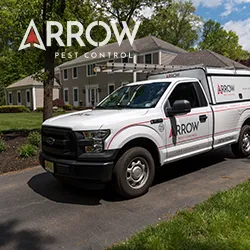 Arrow Pest Control Picture 7