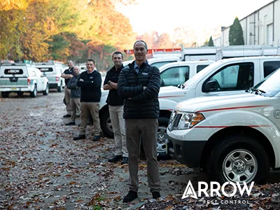 Arrow Pest Control Picture 4