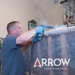 Arrow Pest Control