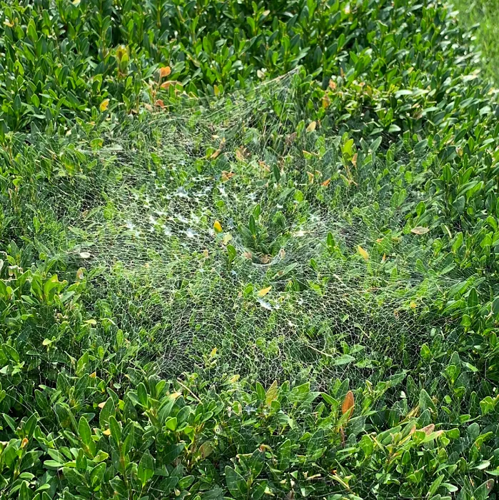 Alliance Pest Services Picture 10