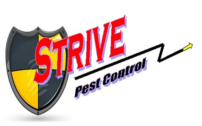 Strive Pest Control Picture 1