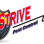 Strive Pest Control