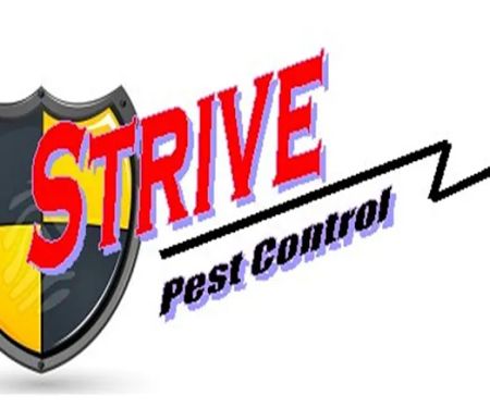 Strive Pest Control