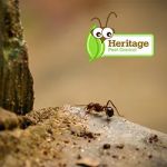 Heritage Pest Control