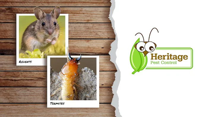 Heritage Pest Control Picture 10