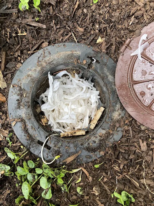 Precise Termite & Pest Control Picture 7