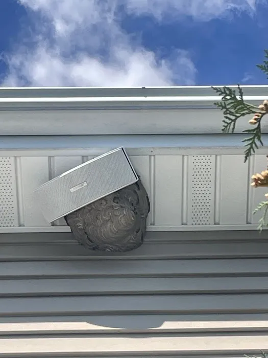 Precise Termite & Pest Control Picture 9