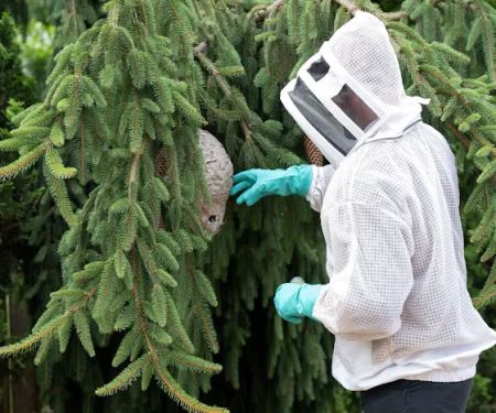 Viking Pest Control