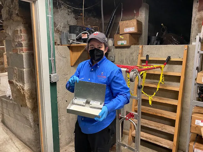 Viking Pest Control Picture 5