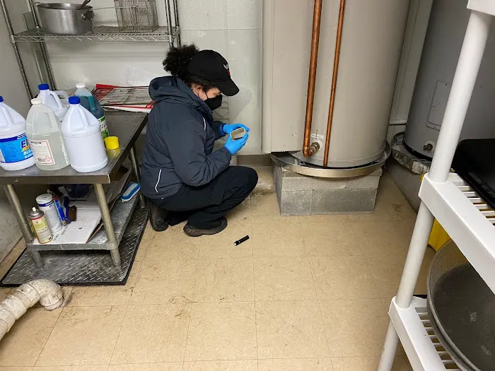 Viking Pest Control Picture 6