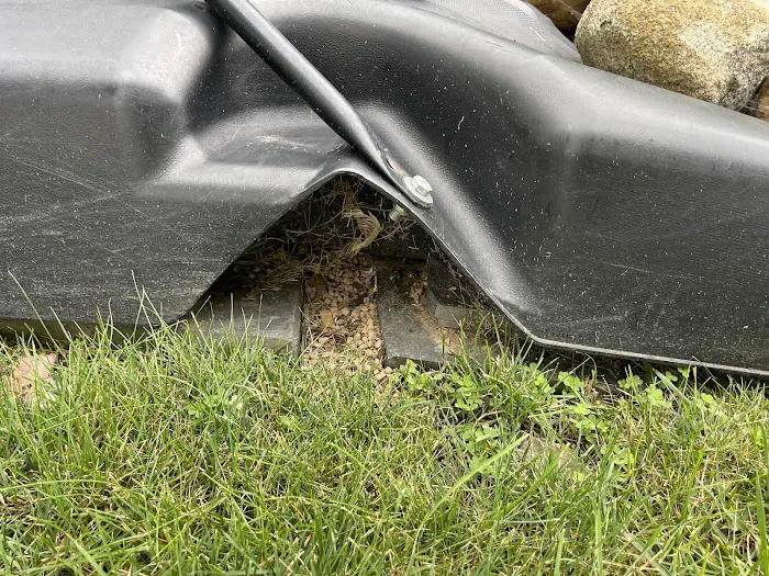 Ehrlich Pest Control Picture 7