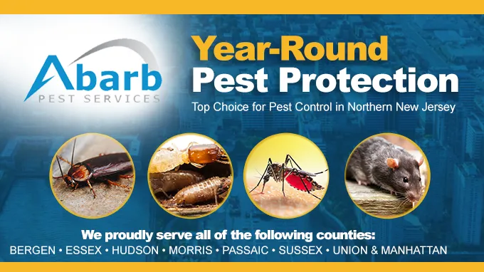 Abarb Pest Services Picture 2