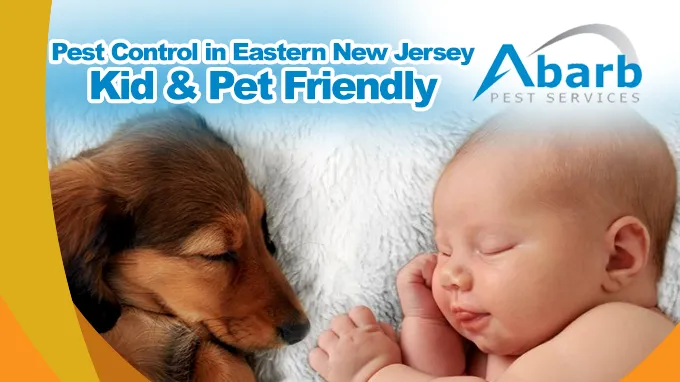 Abarb Pest Services Picture 4