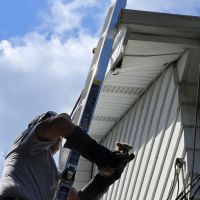 Reliable Pest and Animal control ico