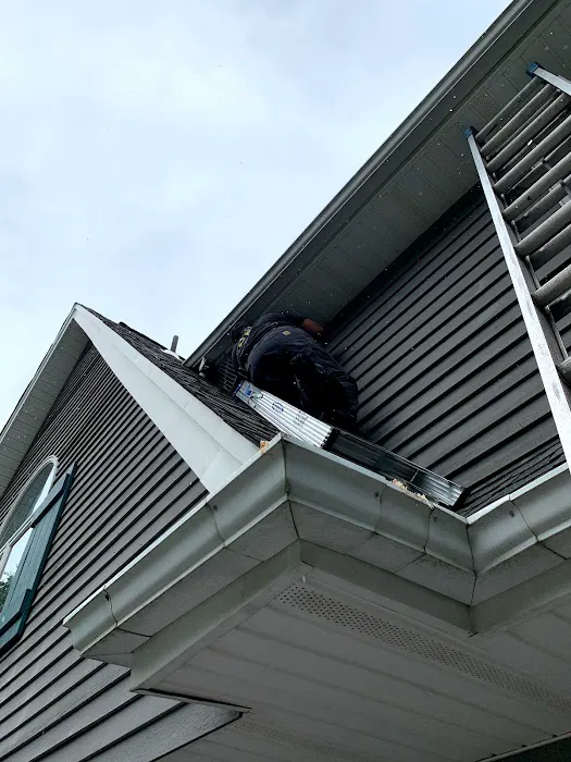 Reliable Pest and Animal control Picture 2