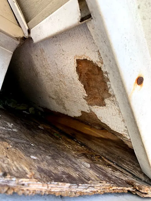 Reliable Pest and Animal control Picture 3