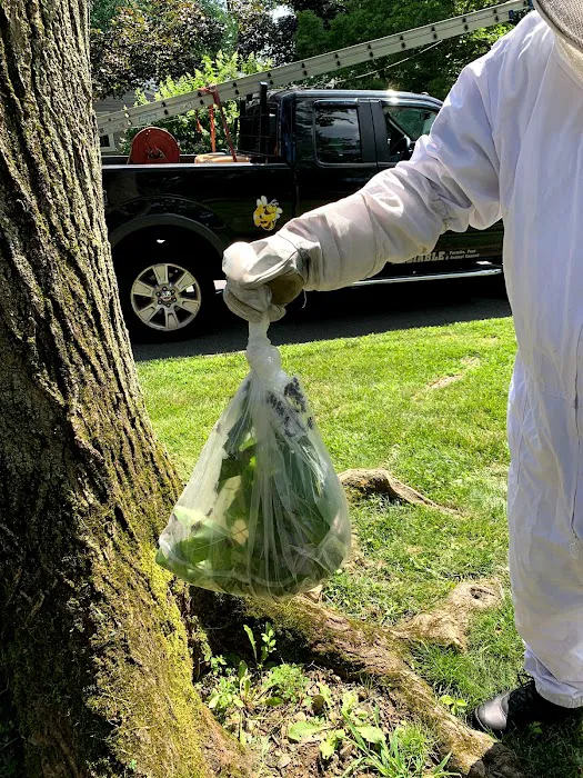Reliable Pest and Animal control Picture 10