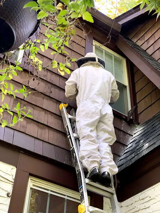 Reliable Pest and Animal control Picture 6