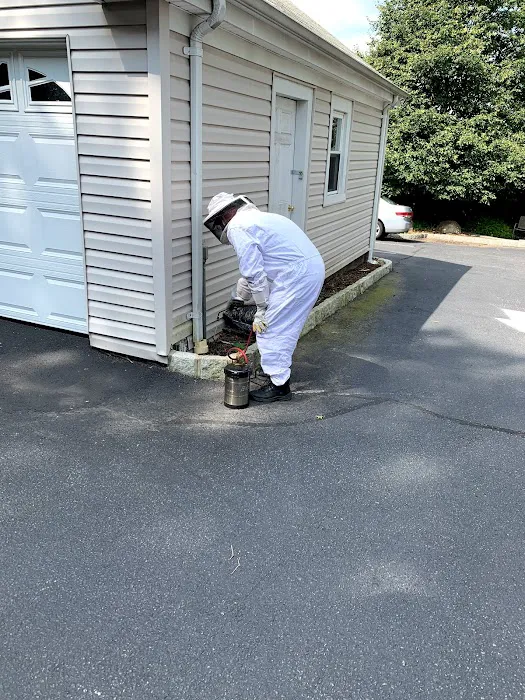 Reliable Pest and Animal control Picture 8