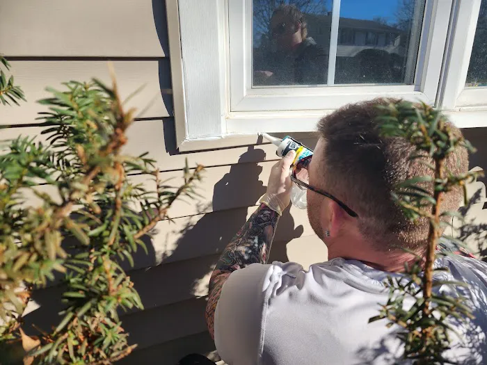 Ultime Mold and Pest Services Picture 1