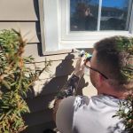 Ultime Mold and Pest Services