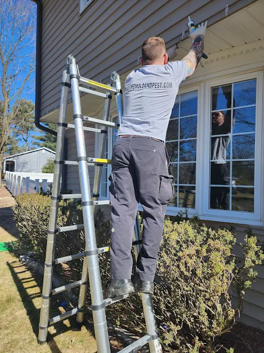 Ultime Mold and Pest Services Picture 4