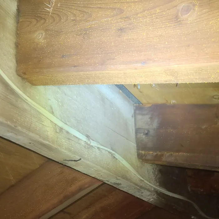 Ultime Mold and Pest Services Picture 6