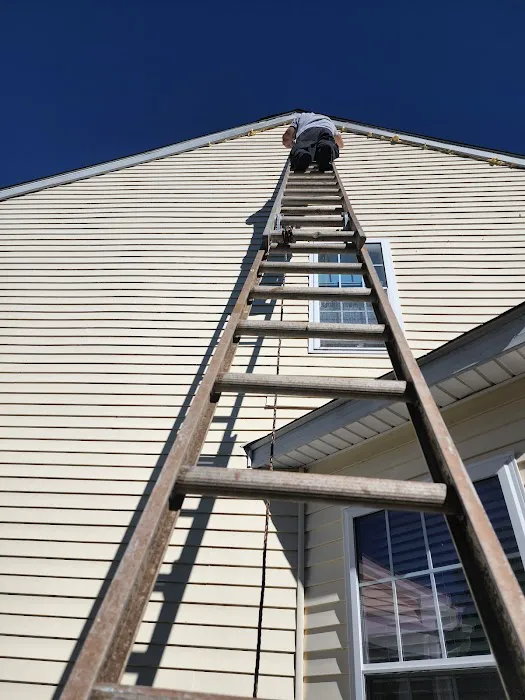 Ultime Mold and Pest Services Picture 7
