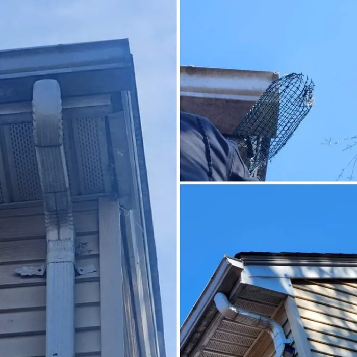 Ultime Mold and Pest Services Picture 3