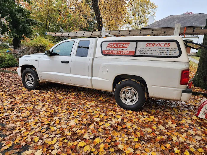 Ultime Mold and Pest Services Picture 9