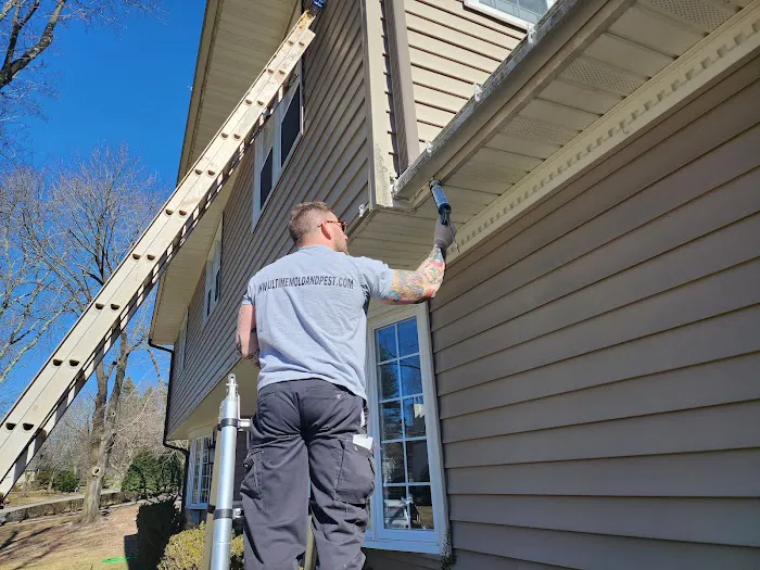 Ultime Mold and Pest Services Picture 5