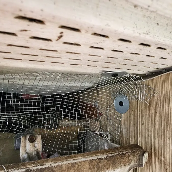 Ultime Mold and Pest Services Picture 10