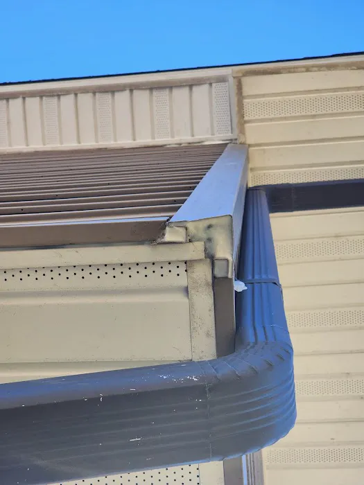 Ultime Mold and Pest Services Picture 8