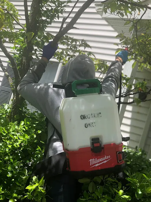 Village Exterminating Picture 5