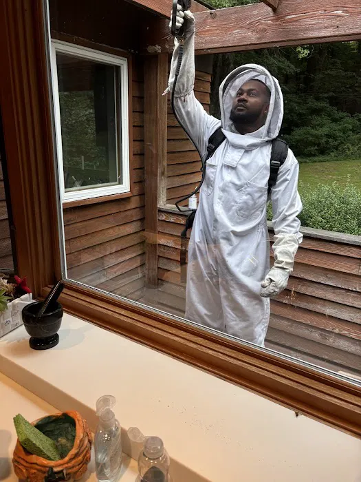 Village Exterminating Picture 7