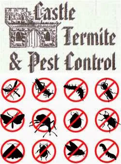 Castle Termite & Pest Control Picture 1