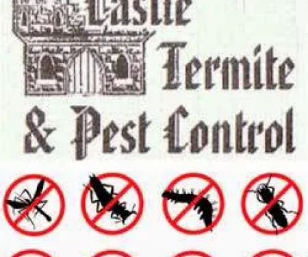 Castle Termite & Pest Control