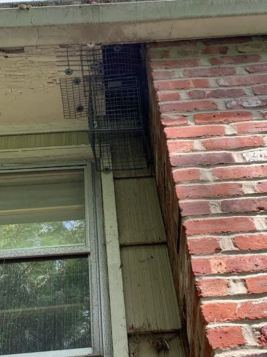 Reliable Termite Pest & Animal Control llc Picture 2