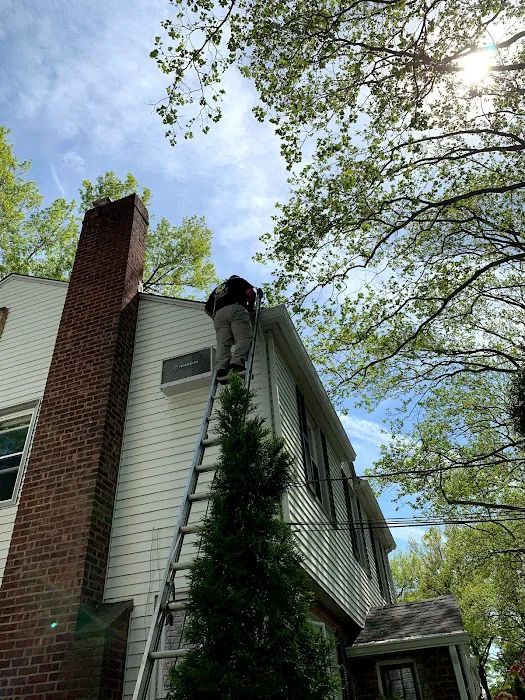 Reliable Termite Pest & Animal Control llc Picture 8